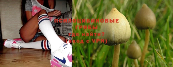 герыч Белокуриха