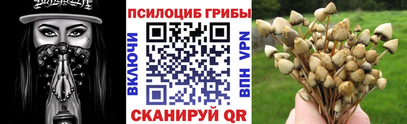Галлюциногенные грибы ЛСД  KRAKEN ТОР  Бузулук 